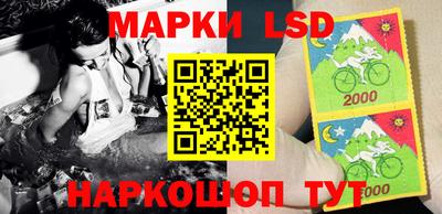 прущие крисы Будённовск