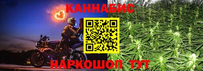 прущие крисы Будённовск