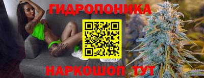прущие крисы Будённовск