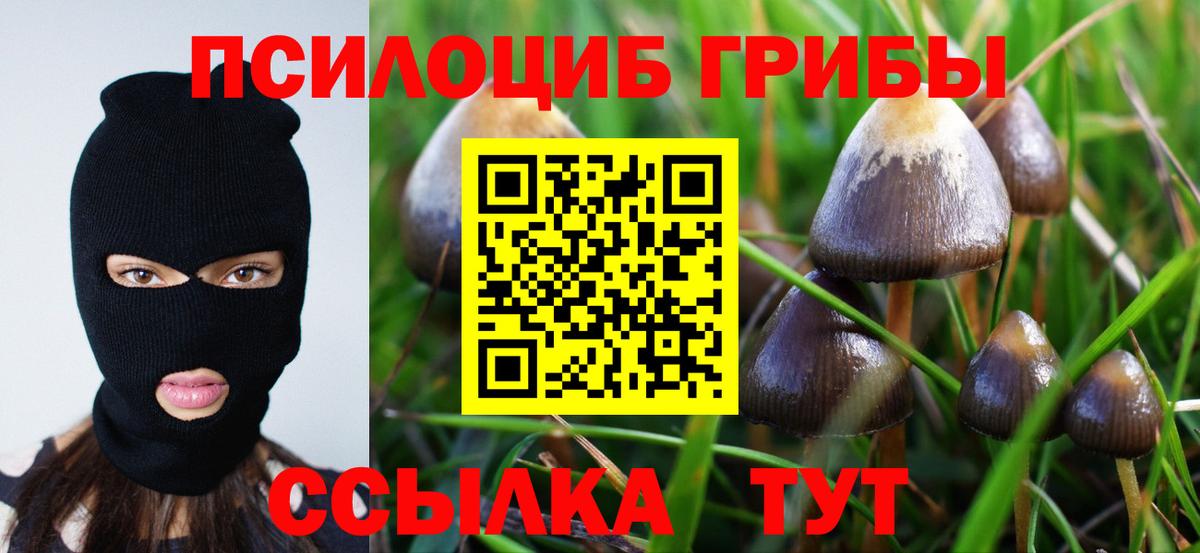 Сорочинск  Галлюциногенные грибы GOLDEN TEACHER  Вход с VPN 